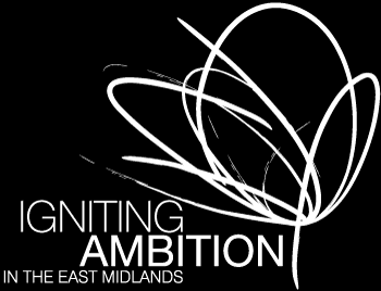 Ignighting Ambition