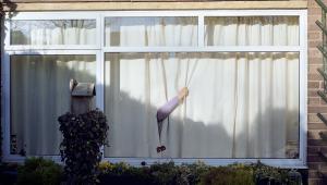 [field_artwrk_title-raw]