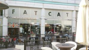 Fat Cat Café Bar 