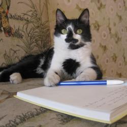 Literature Programme: Broadway Studio - The Lone Poet