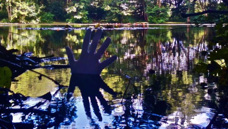 Theresa Caruana: Nemi Anywhere